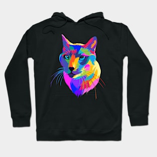 Colorful cat rainbow Hoodie